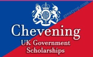 Chevening Scholarship Essay 